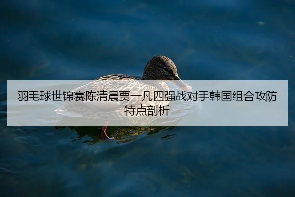 yu-mao-qiu-shi-jin-sai-chen-qing-chen-jia-yi-fan-si-qiang-zhan-dui-shou-han-guo-zu-he-gong-fang-te-dian-pou-xi-2-297.jpg