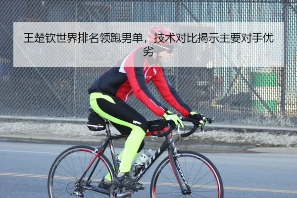 王楚钦世界排名领跑男单，技术对比揭示主要对手优劣