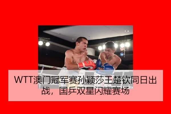 WTT澳门冠军赛孙颖莎王楚钦同日出战，国乒双星闪耀赛场