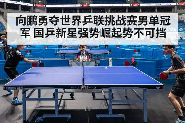 向鹏勇夺世界乒联挑战赛男单冠军 国乒新星强势崛起势不可挡